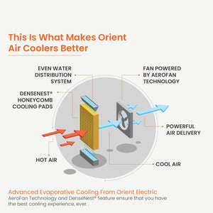 Ultimo Tower Air Cooler With Remote