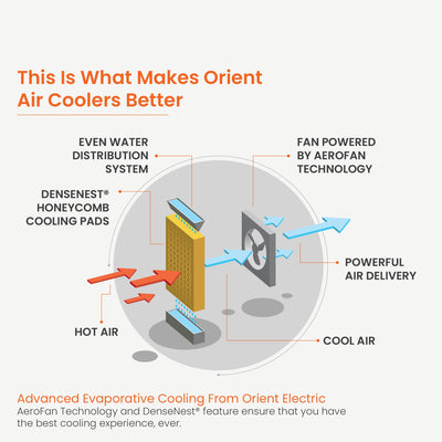 Ultimo Tower Air Cooler With Remote