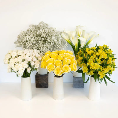 Yellow Fuzzy Rose DIY Flower Kit
