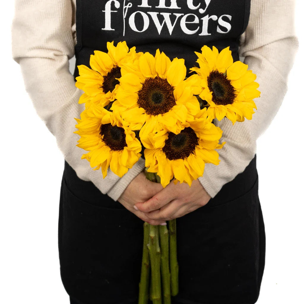 Vincent Choice Sunflowers