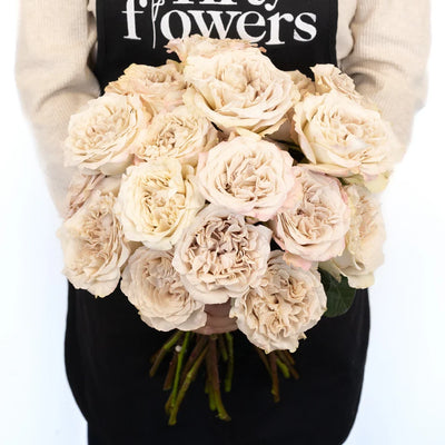 Ivory Gray Pastel Westminster Abbey Roses