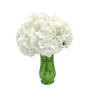 White Hydrangea Flower