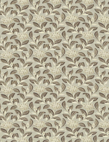 Brown and Celadon