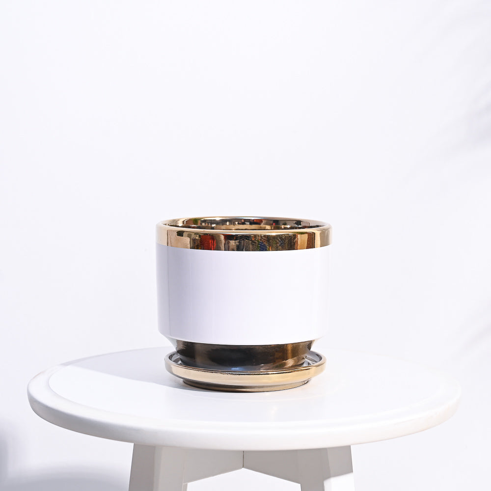 Ugaoo Aurelius Round Ceramic Pot - view 15