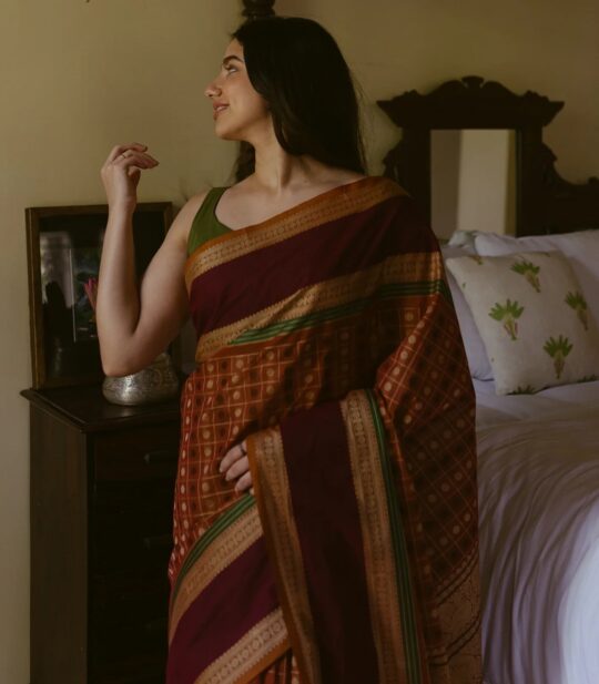 RmKV Rust Handloom Village Cotton Saree With Checks & Kamalam Motifs-Rust - view 2