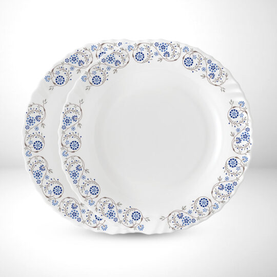 Mist noodle soup – My Borosil Larah by Borosil Mist Noodle / Soup Plate Set