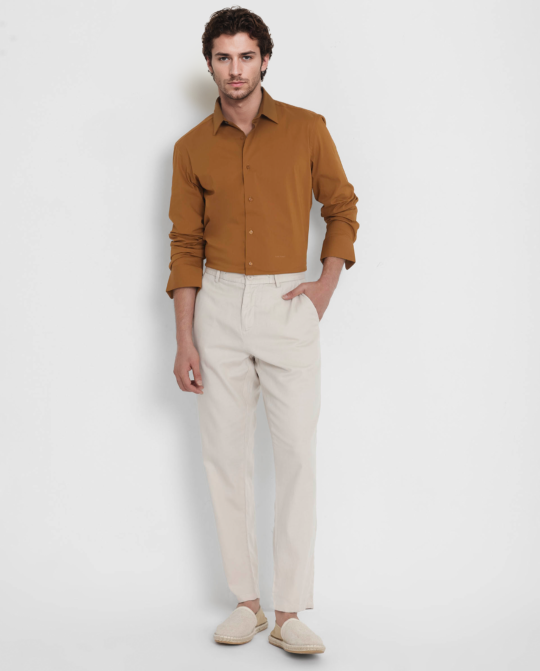 Rare Rabbit Men's Benedict Mustard Cotton Poly Elastane Blend Fabric Full Sleeve Solid Formal Shirt - view 2