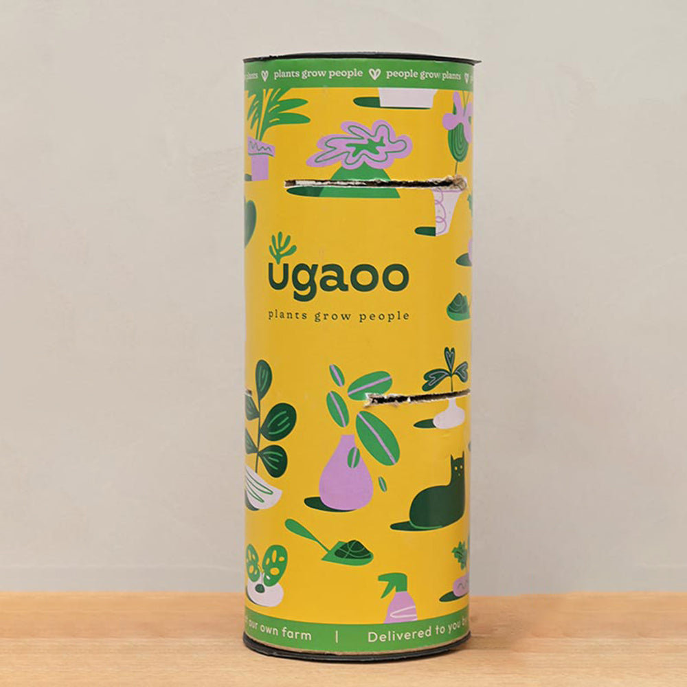 Ugaoo Hamper 2 for MyEra - view 16