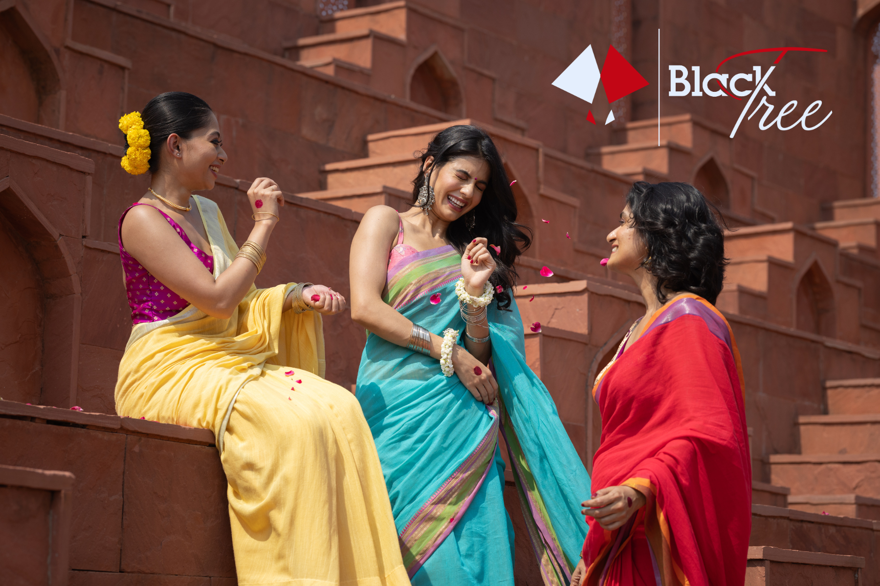 Discover BlackTree India Saree Collection for Every Occasion