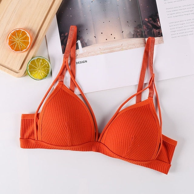 BlackTree Sports Bra Comfort with Solid Color..