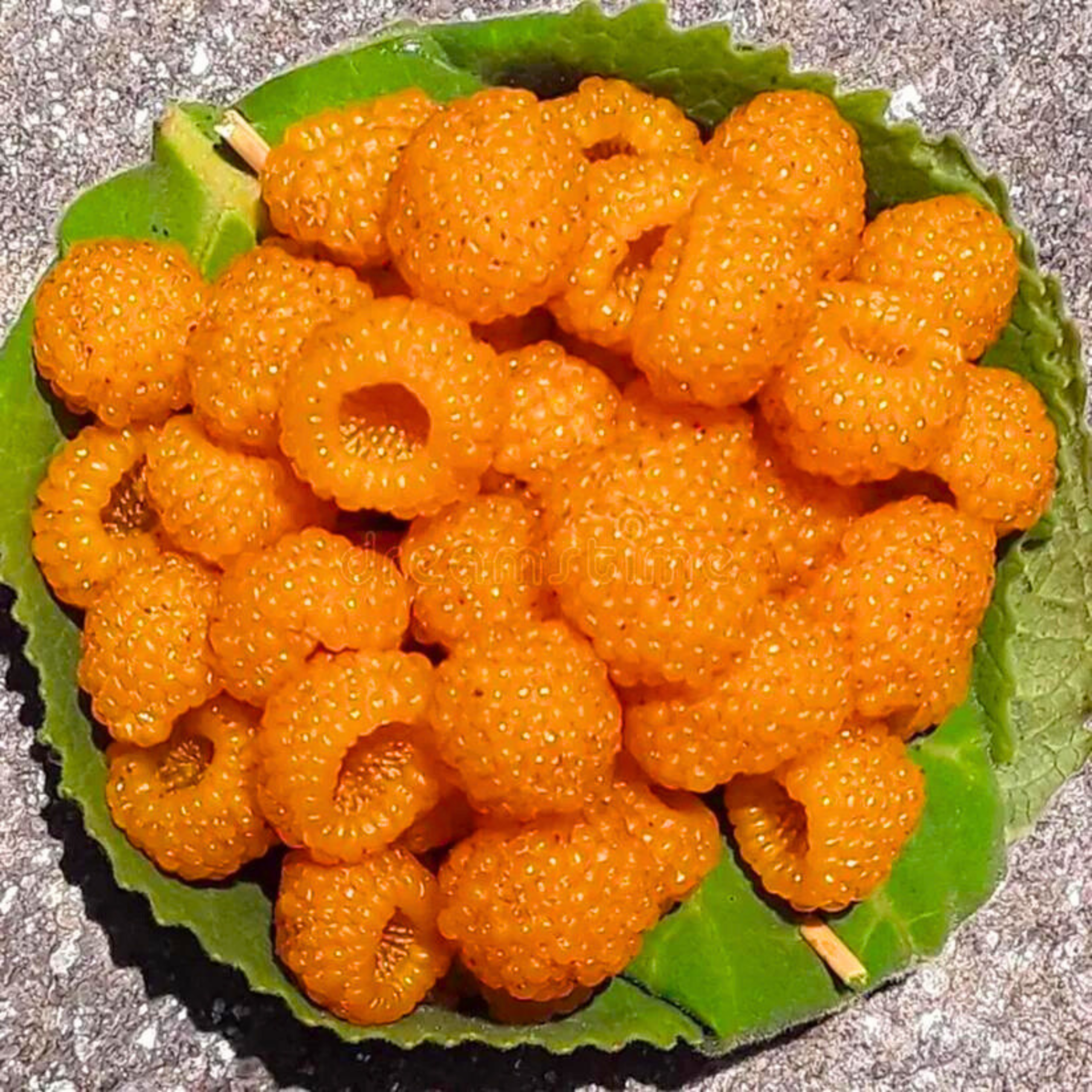 VL Yellow Himalayan Raspberry Live Plant (Rubus ellipticus) - view 2