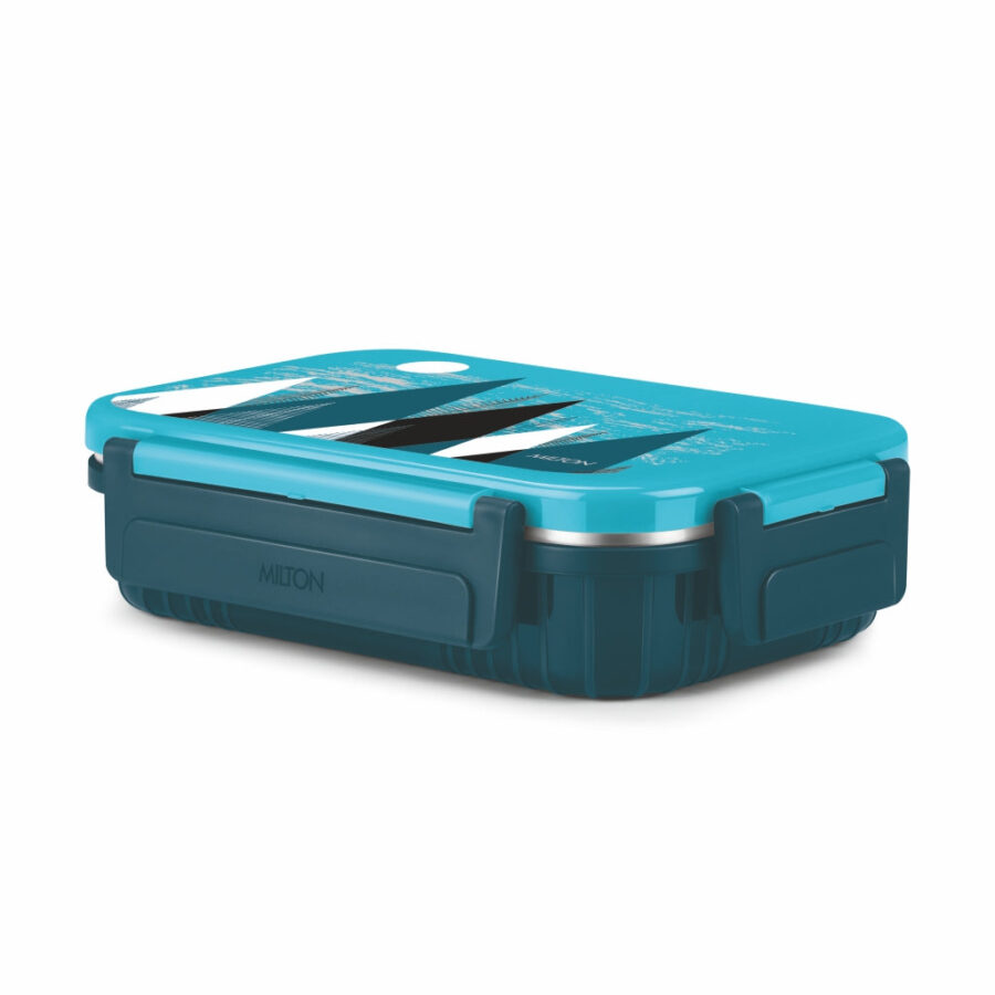 Fun Feast Lunch Box 2 compartments (Milton)