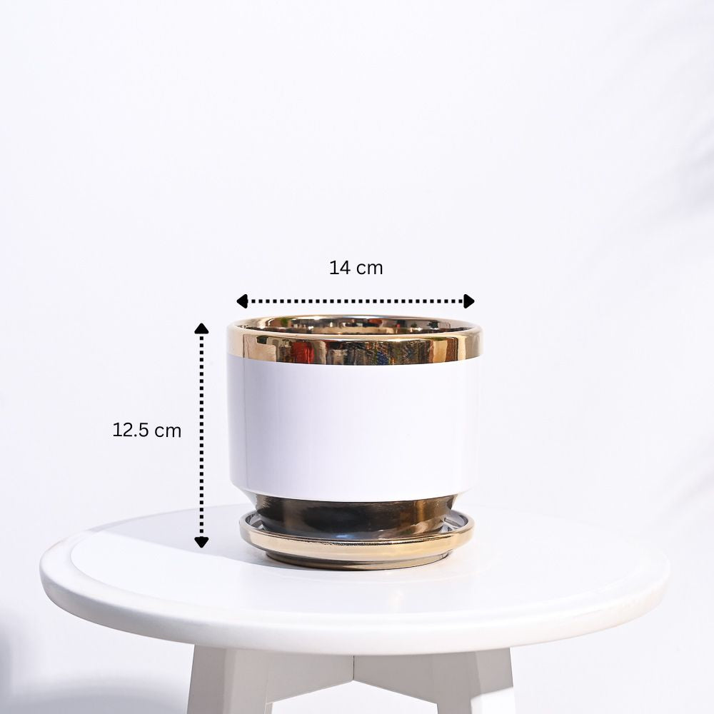 Ugaoo Aurelius Round Ceramic Pot - view 13