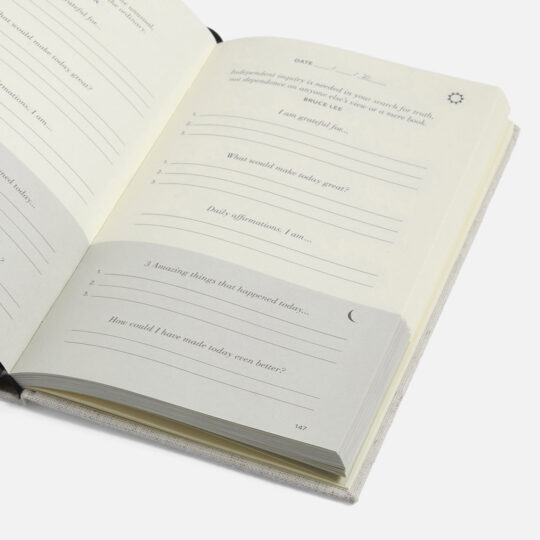 Intelligent Change The Five Minute Journal - view 2