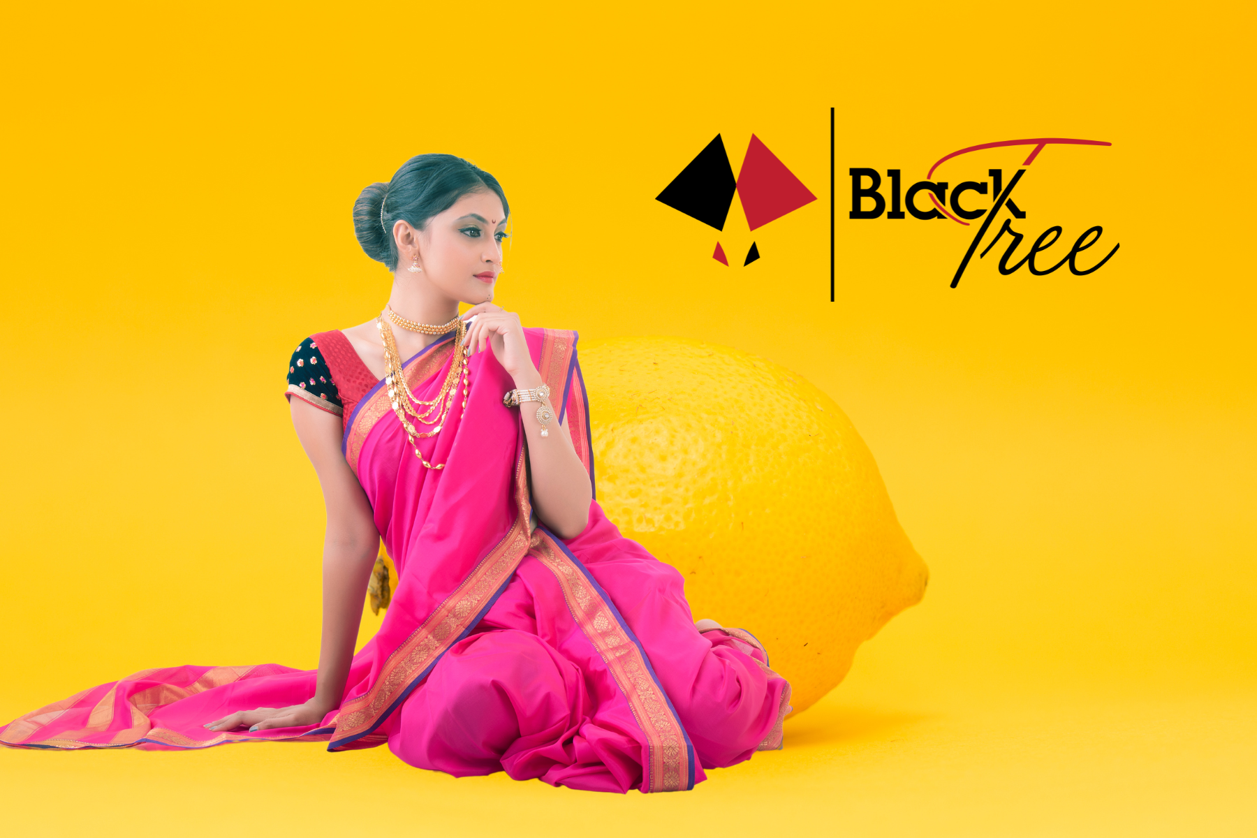 Discover BlackTree India Saree Collection for Every Occasion