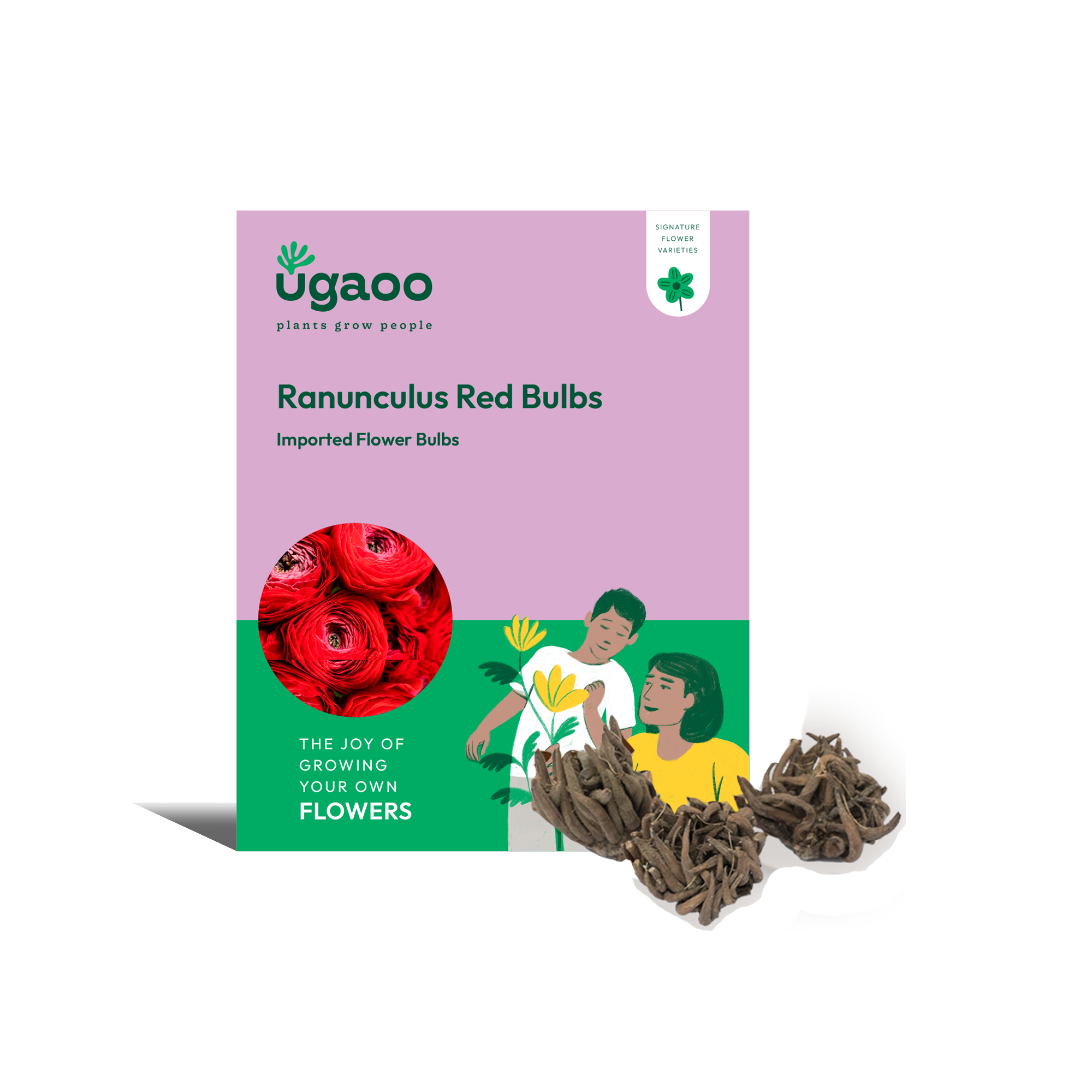 Ugaoo Ranunculus Red Bulbs
