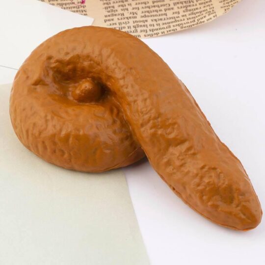 VinnyC Fake Poop - view 2