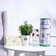 Ugaoo Jade Mini Thank you Gift Hamper