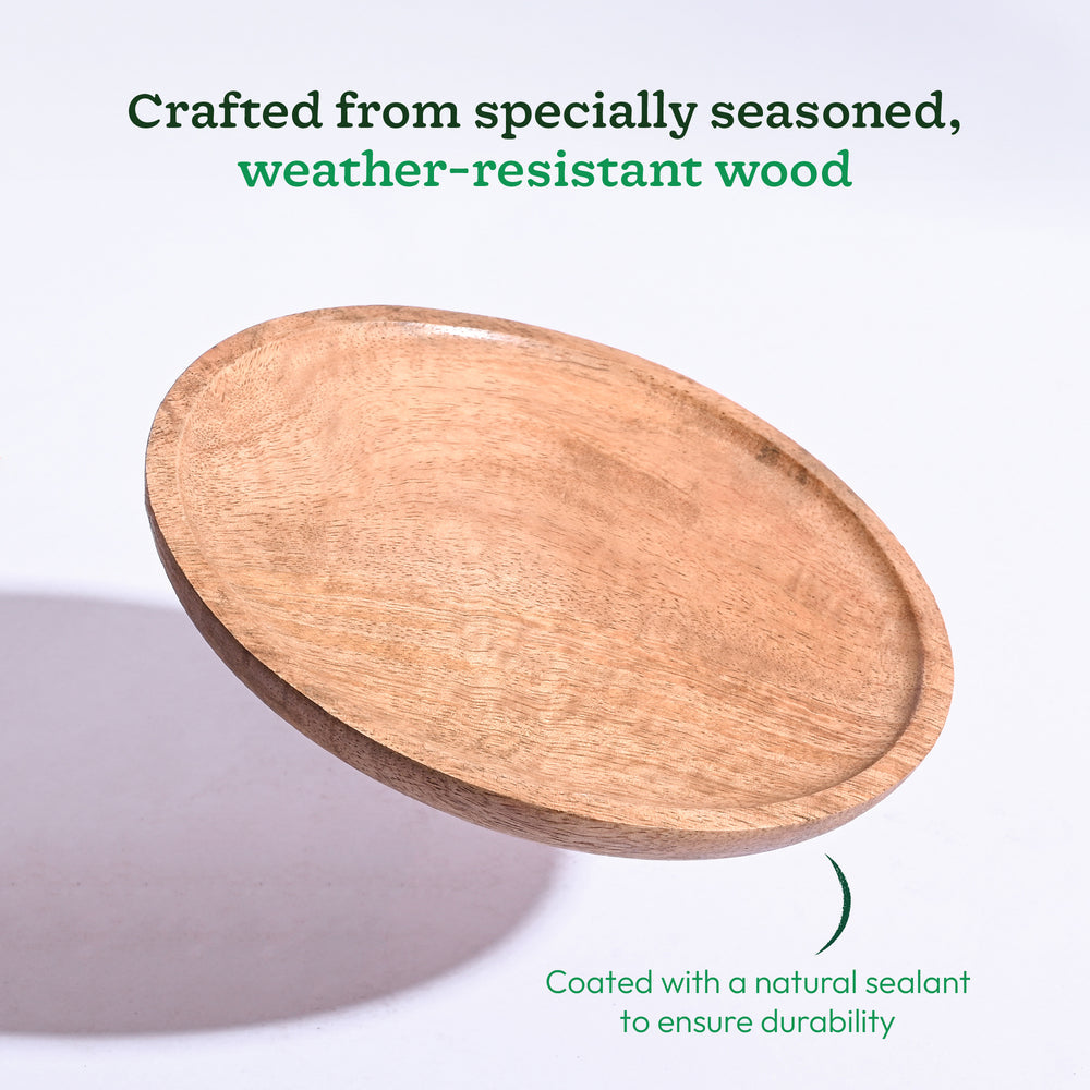 Ugaoo Wooden Plant Tray - Set of 3 - view 9