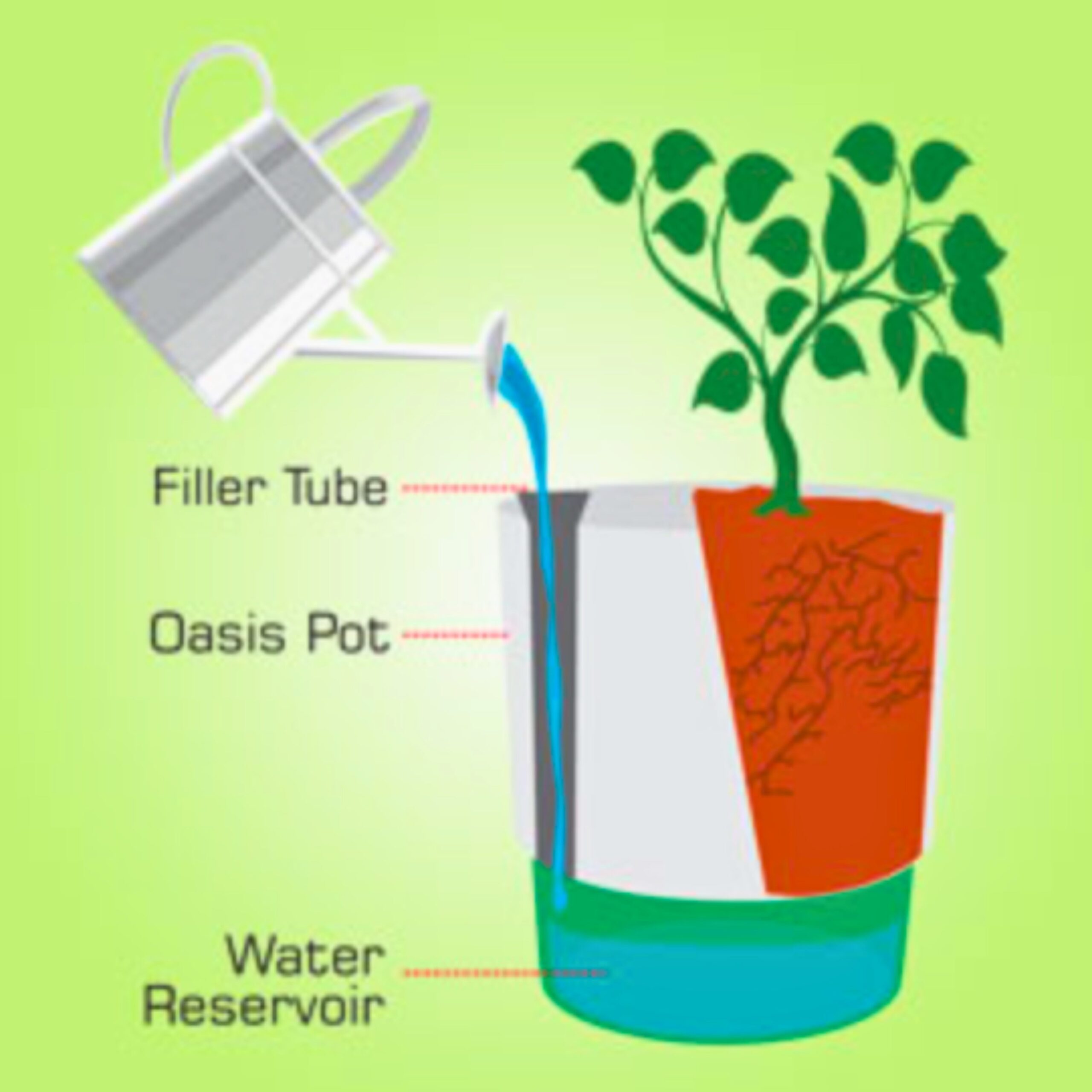 Seed2Plant HydroGlow Effortless Self-Watering Indoor Planter - view 6