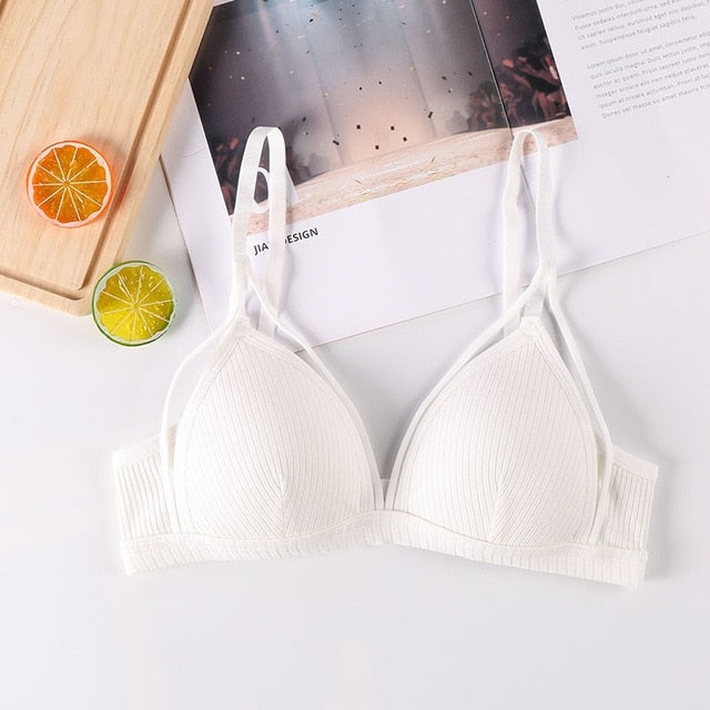 BlackTree Sports Bra Comfort with Solid Color..