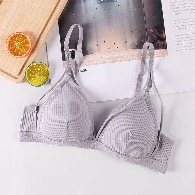 BlackTree Sports Bra Comfort with Solid Color..