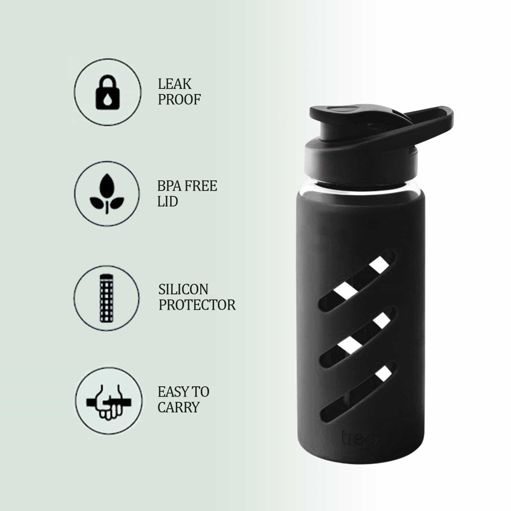 Proteger Glass Bottle (Treo by Milton)