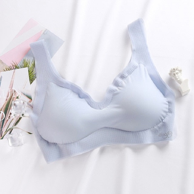 Thin Pad Sexy Push-Up Barletta Bra For Female..