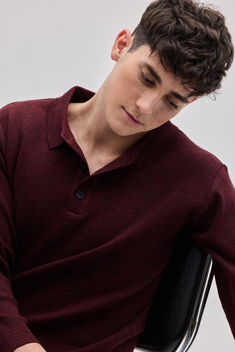 SNITCH Maroon Knitted Polo Sweater - view 5