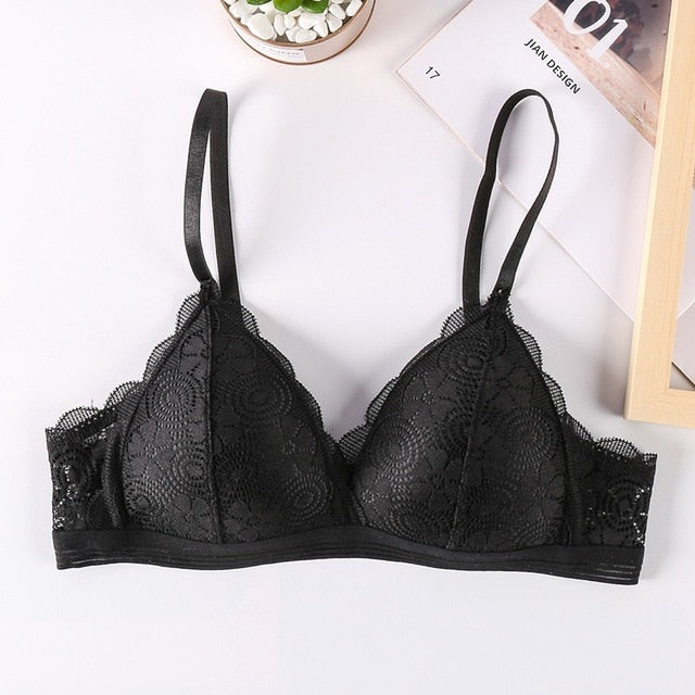 BlackTree Sports Bra Comfort with Solid Color..