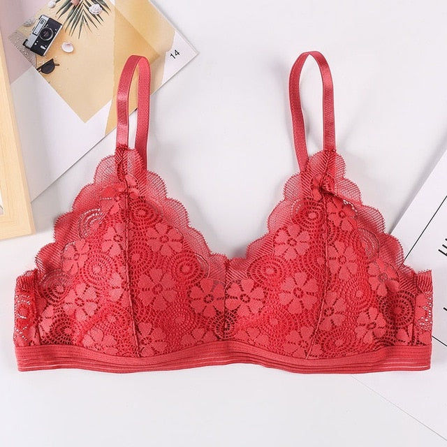 BlackTree Sports Bra Comfort with Solid Color..