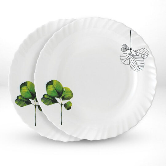 Oval noodle soup – My Borosil Larah by Borosil Oval Noodle / Soup Plate Set
