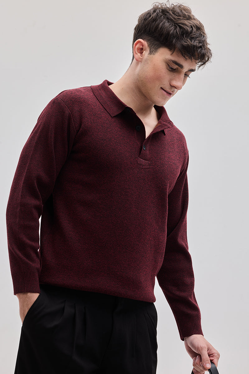 SNITCH Maroon Knitted Polo Sweater - view 4