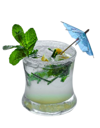 BlackTree Virgin Mojito