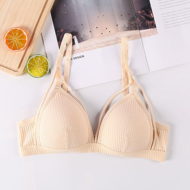 BlackTree Sports Bra Comfort with Solid Color..