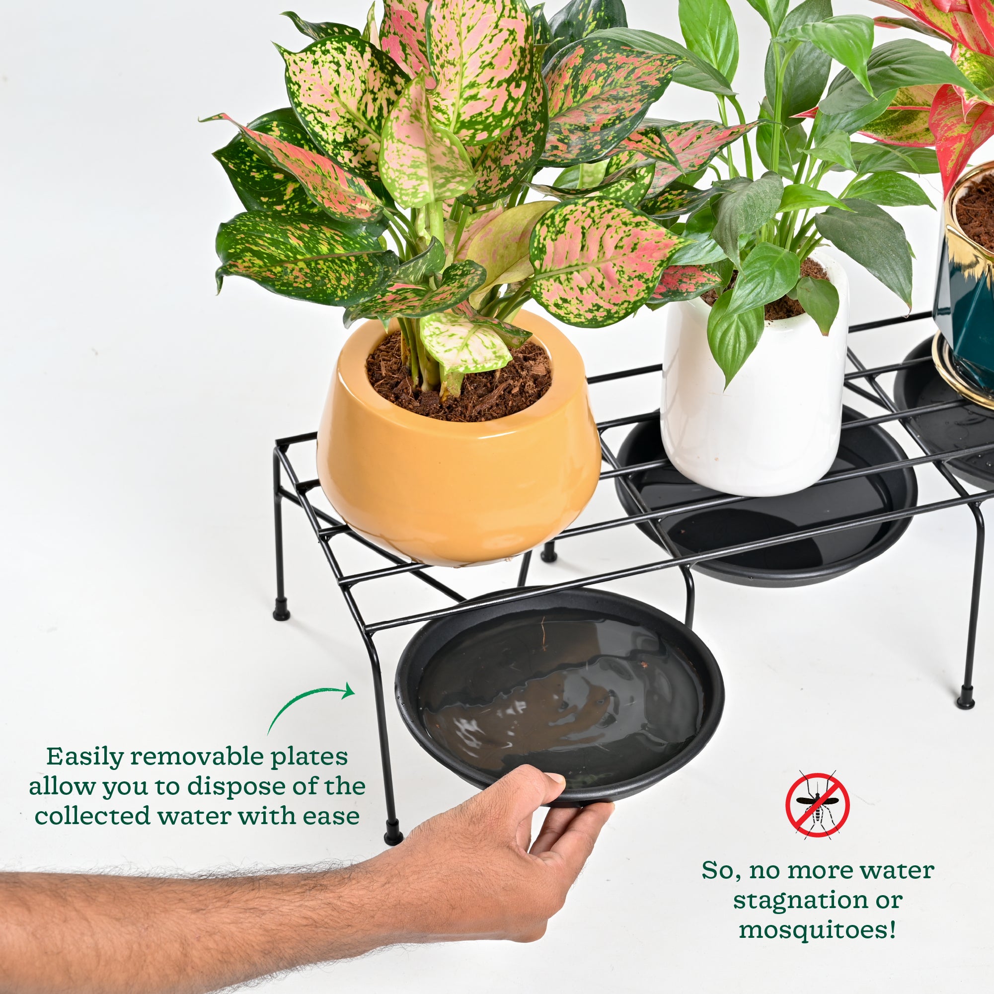 Ugaoo Metal Plant Stands with Drip-tray Holder - set of 4 - view 9