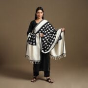 SOUTH KARGHA Black - Handloom Cotton Pochampally Ikat Dupatta 17