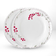 Verona noodle soup – My Borosil Larah by Borosil Verona Noodle / Soup Plate Set