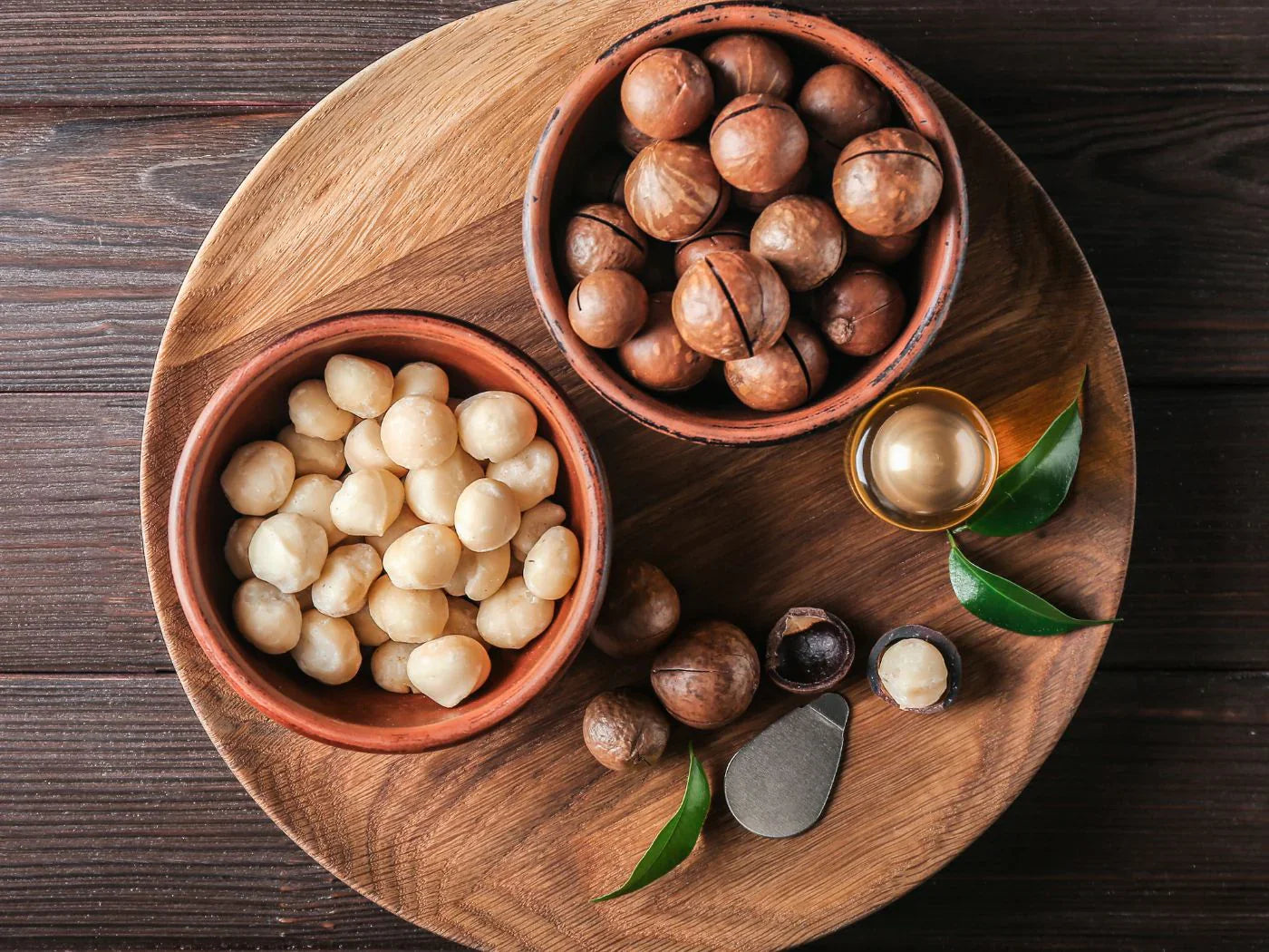MR Macadamia Nut Fruit Live Plant - view 6