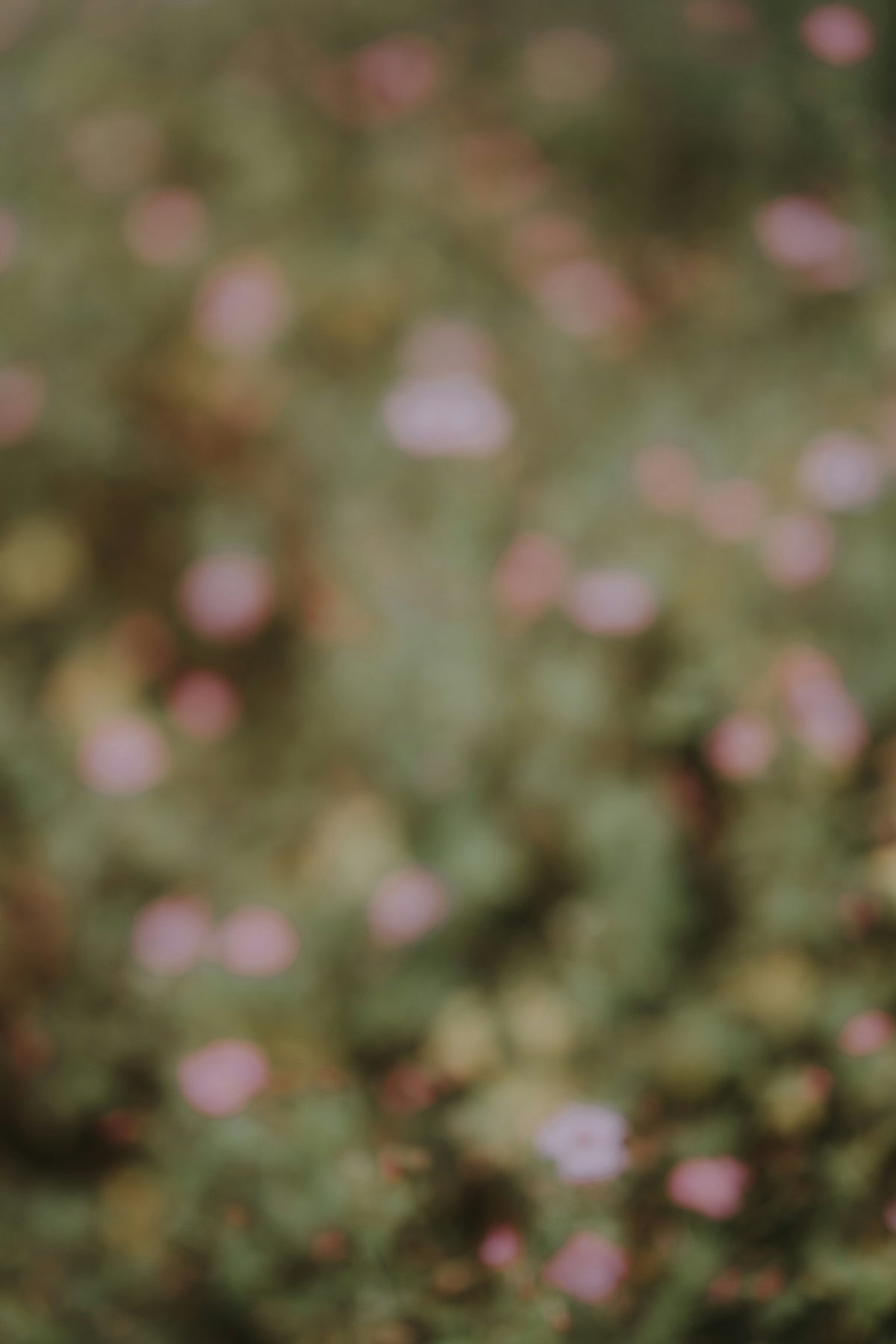 The Ultimate Guide to Crafting Forest Fairytale Wedding Dreams with Flowers and Online Delivery in India
