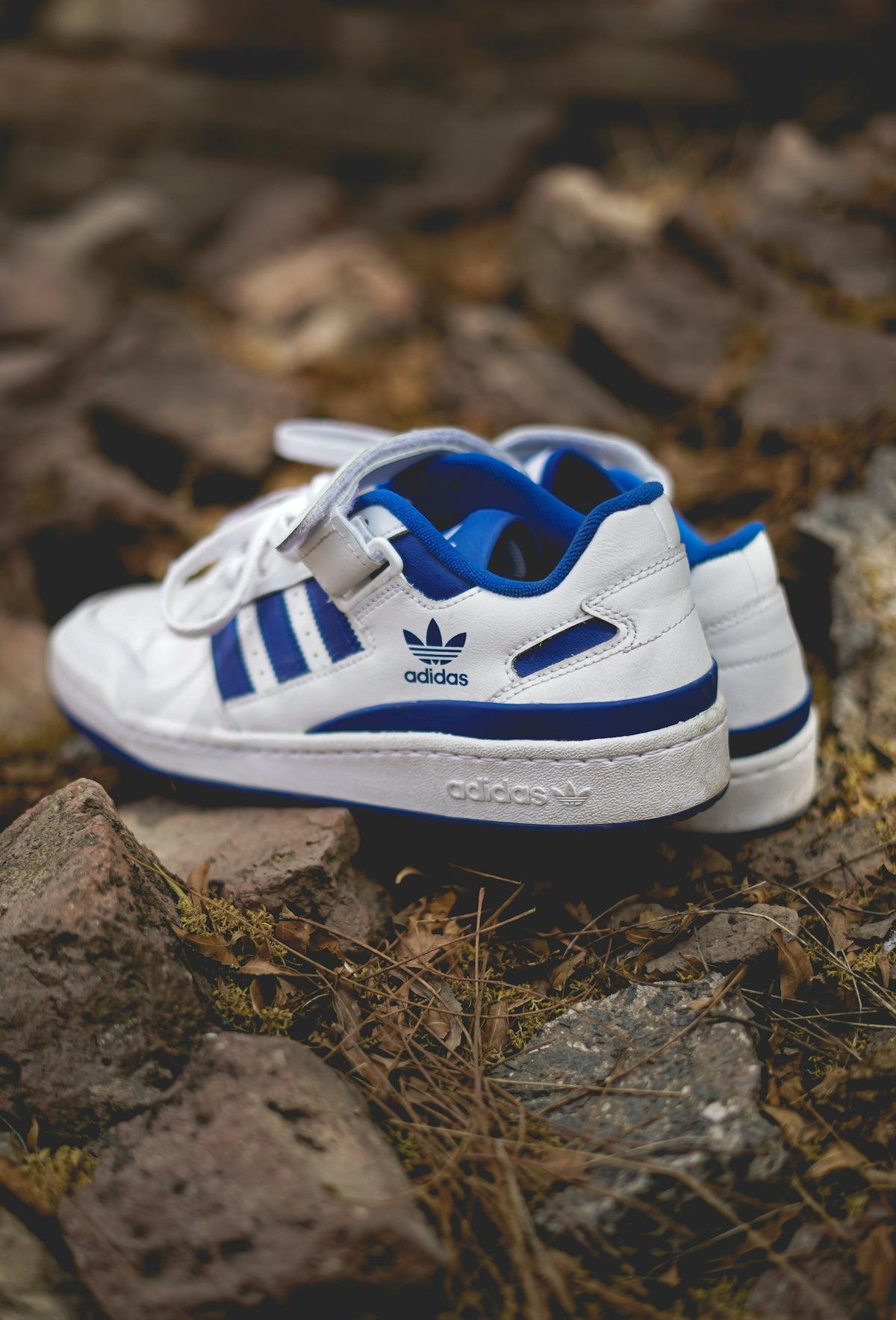 Top 10 Nike and Adidas Shoes for the Ultimate Sneaker Collector
