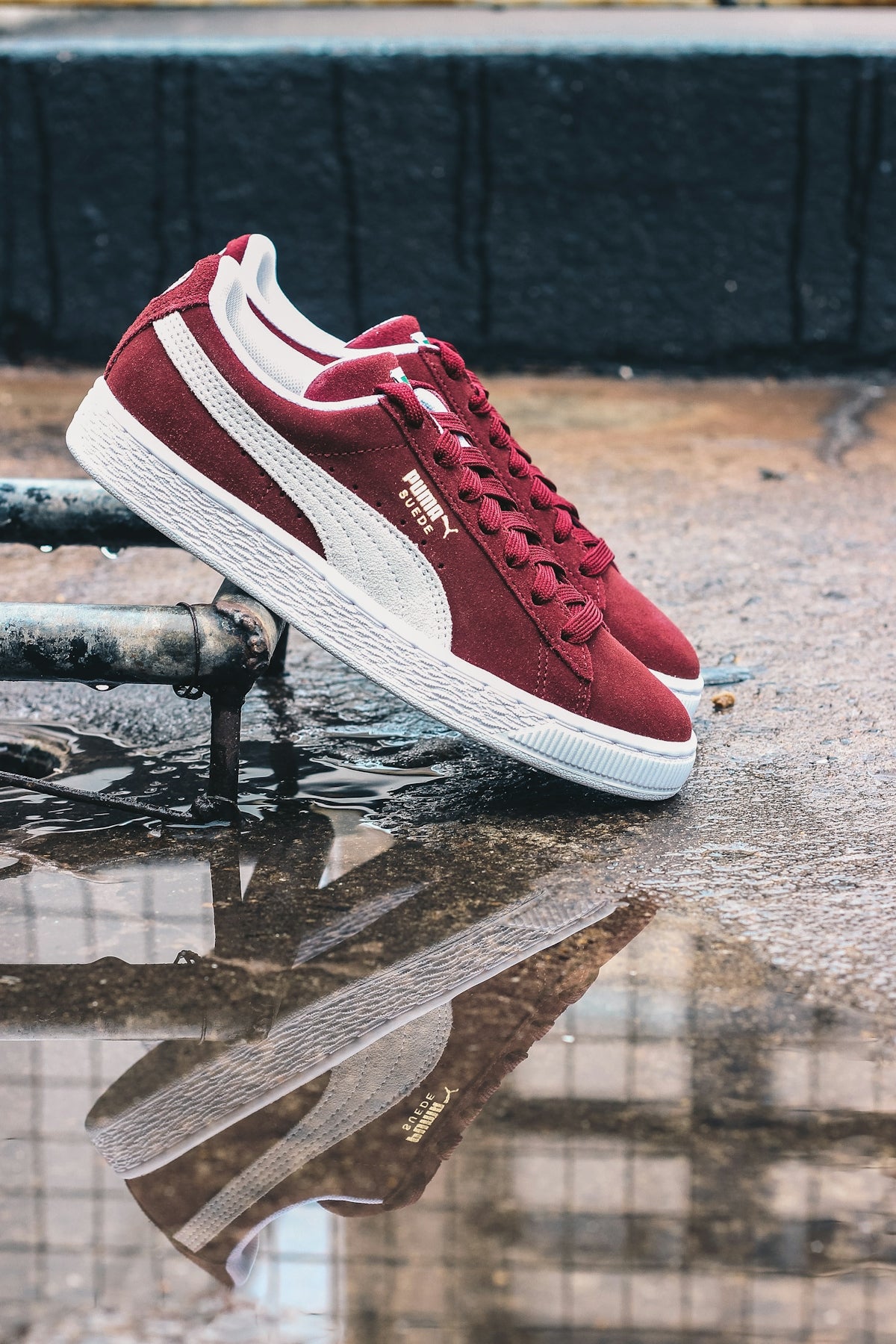 The Untold History of Puma Shoes and Their Impact on Sneakers