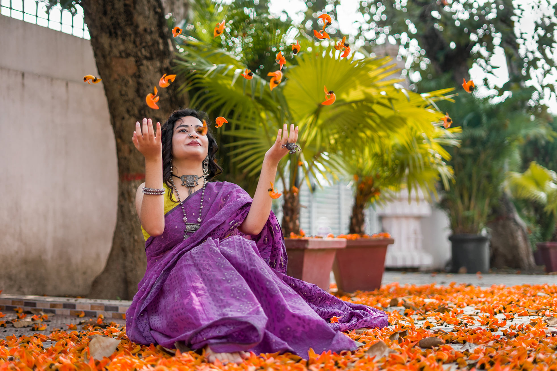 Buy Party Wear Sarees Online